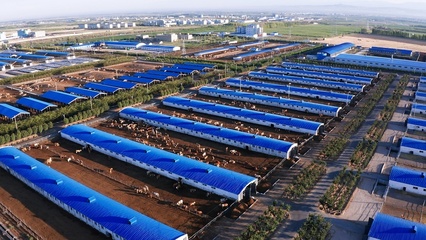 混改帶來的裂變效應(yīng)——四師創(chuàng)錦牧業(yè)與汽車裝飾用品銷售的轉(zhuǎn)型啟示