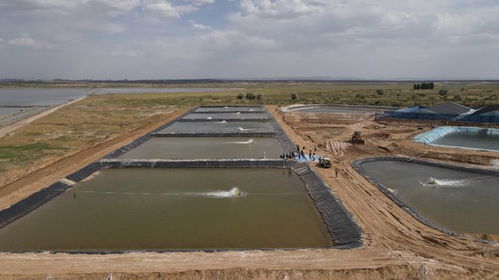 榆林迎小龍蝦上市旺季 水產(chǎn)賦能鄉(xiāng)村振興，畜牧漁業(yè)飼料銷售同步增長